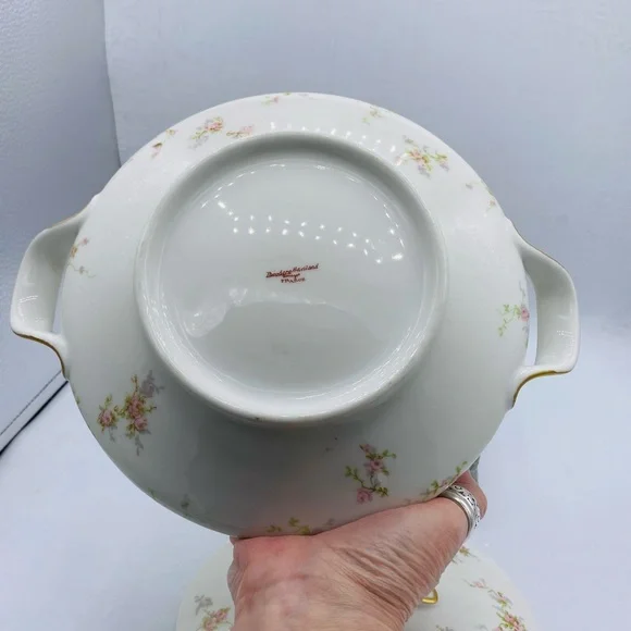 Antique Theodore Haviland Limoges France Porcelain Lidded Serving Tureen Bowl - Picture 6 of 9